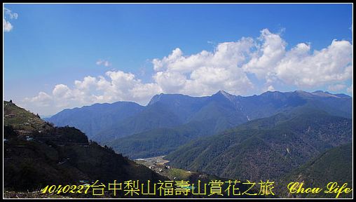 13梨山福壽山賞花之旅.JPG