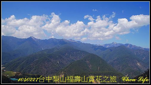 14梨山福壽山賞花之旅.JPG