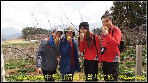 29梨山福壽山賞花之旅.JPG