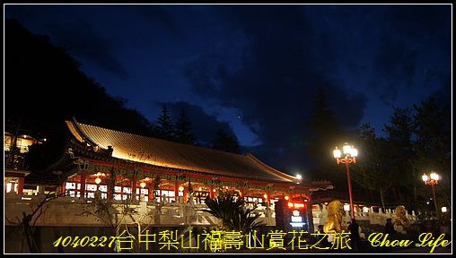 59梨山福壽山賞花之旅.JPG