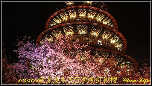 29淡水天元宮粉紅夜櫻.JPG