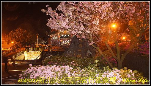 37淡水天元宮粉紅夜櫻.JPG