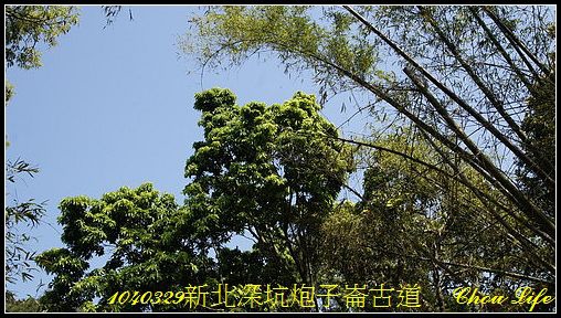27深坑炮子崙古道.JPG