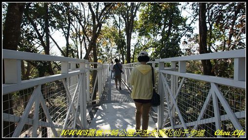 25竹崎公園天空走廊.JPG