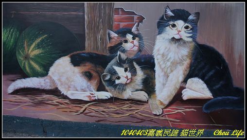 25民雄 貓世界.JPG