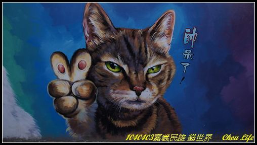 50民雄 貓世界.JPG