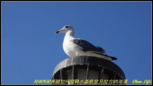 33拉古納海濱公園.JPG