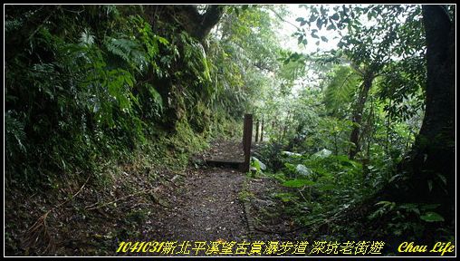43望古賞瀑步道.JPG