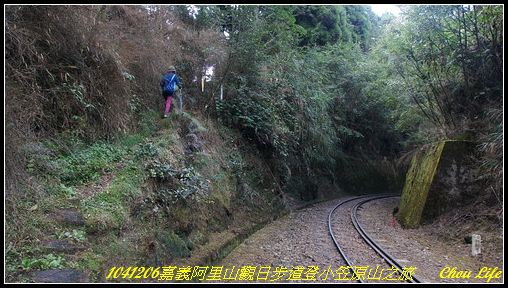 47阿里山觀日步道之旅.JPG