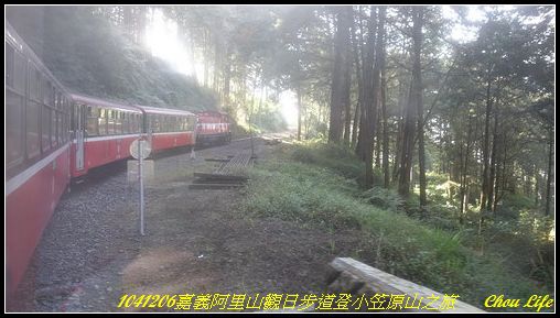 60阿里山觀日步道之旅.JPG