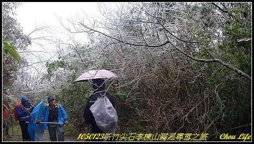 44李棟山尋雪之旅.JPG