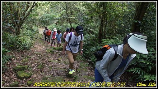11粗古道與桃源谷.JPG