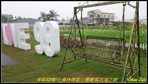 26員林南區公園蜀葵花海.JPG