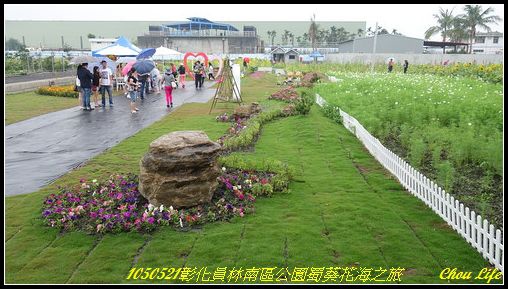 27員林南區公園蜀葵花海.JPG