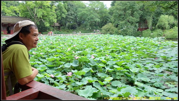 15福州西湖公園左海公園.JPG