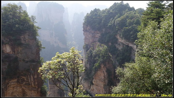 15湖南張家界峰林.JPG