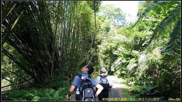 15大溪龍山寺至三峽五十分山.JPG