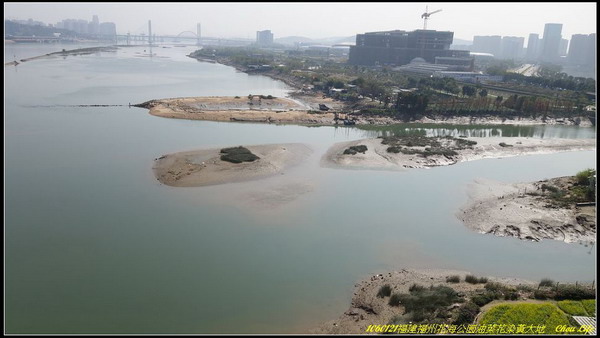 33福州花海公園油菜花.JPG