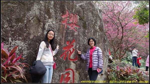 15福州森林公園櫻花園.JPG