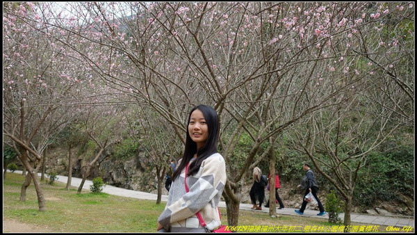 28福州森林公園櫻花園.JPG