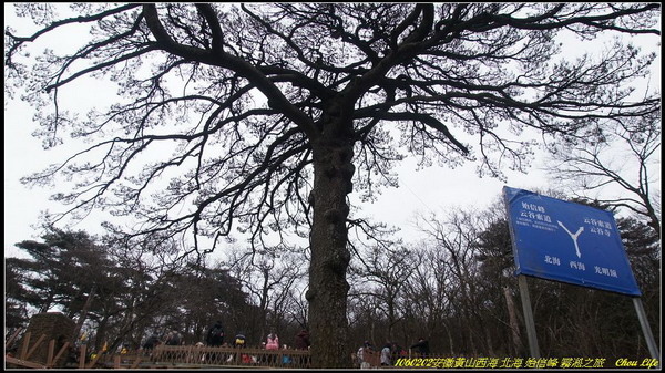 22黃山西海 北海 始信峰 霧淞.JPG