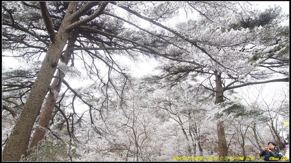 24黃山西海 北海 始信峰 霧淞.JPG