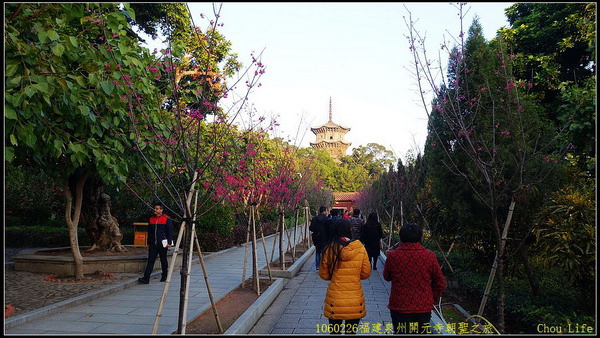 10泉州開元寺.jpg