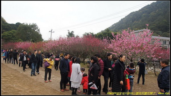 25福州森林公園桃花園.JPG