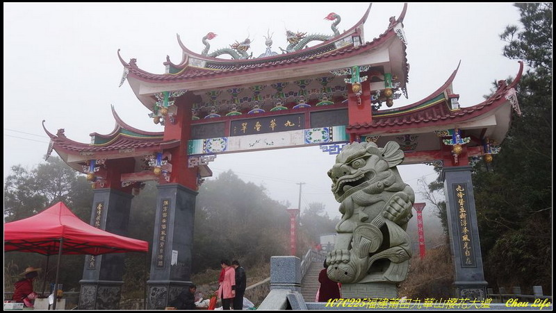 01九華山櫻花.JPG 01九華山櫻花.JPG