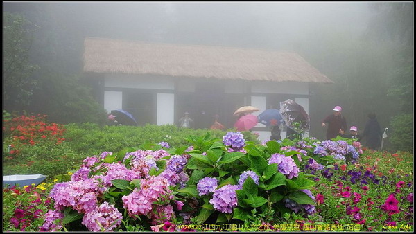 48廬山花逕.jpg 48廬山花逕.jpg
