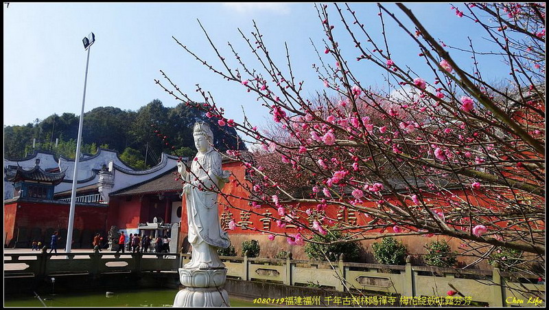 01福州林陽禪寺賞梅.jpg 01福州林陽禪寺賞梅.jpg