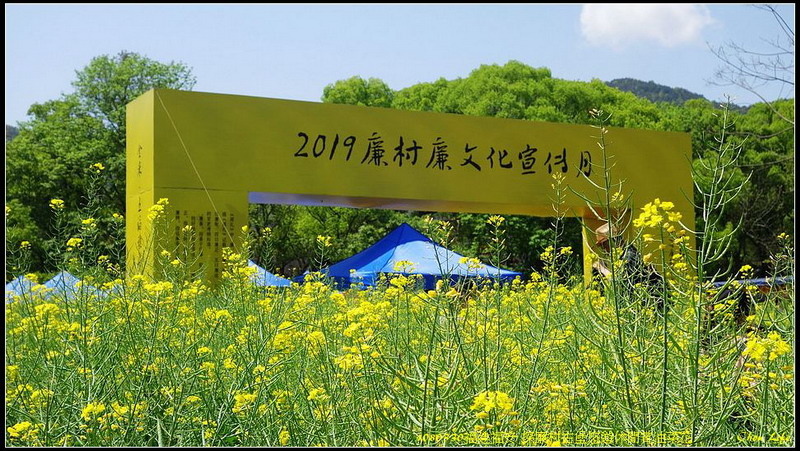 01福安廉村古堡油菜花.jpg 01福安廉村古堡油菜花.jpg