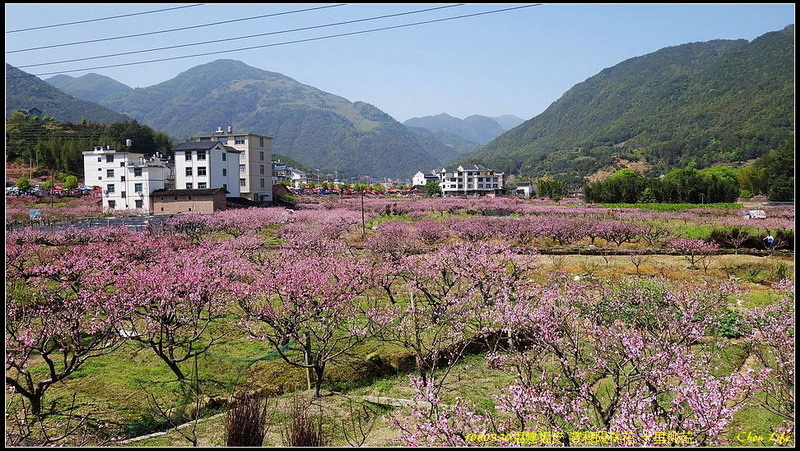 01福安穆陽 十里桃花.jpg