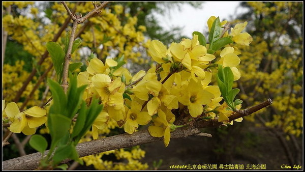 38北京北海公園.jpg