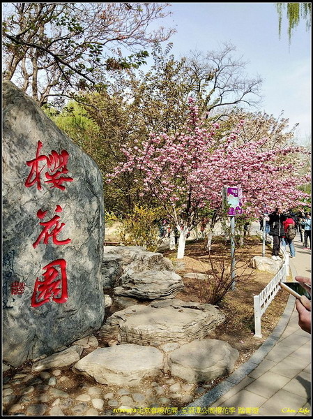 40北京玉淵潭公園.jpg