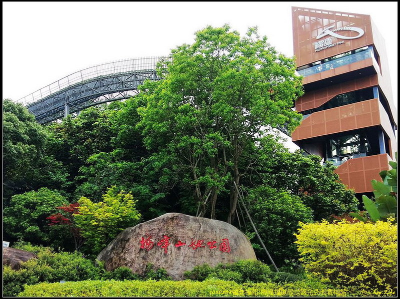 01福州梅峰福道賞桐.jpg 01福州梅峰福道賞桐.jpg