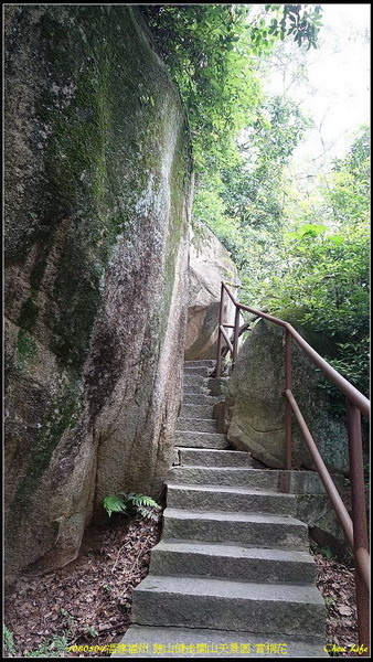 20福州閩山天景園 賞桐花.jpg