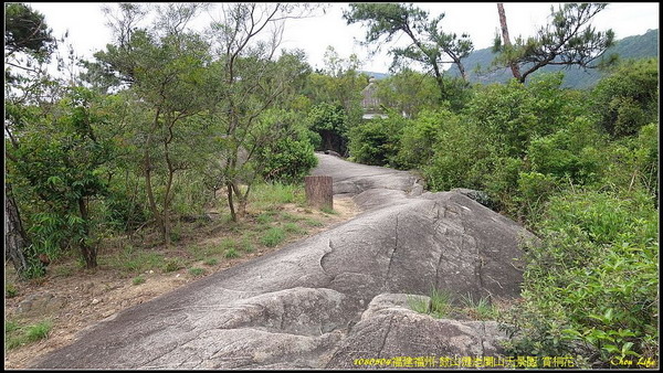 38福州閩山天景園 賞桐花.jpg