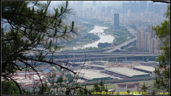 43福州閩山天景園 賞桐花.jpg