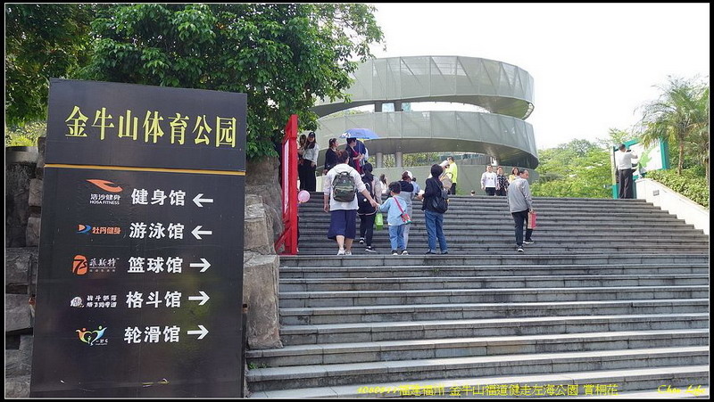 01福州 金牛山福道賞桐花.jpg 01福州 金牛山福道賞桐花.jpg