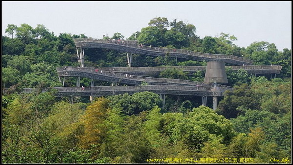 07福州 金牛山福道賞桐花.jpg