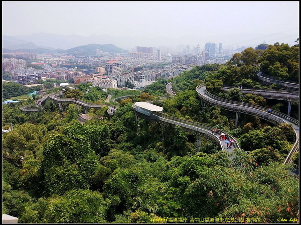 45福州 金牛山福道賞桐花.jpg