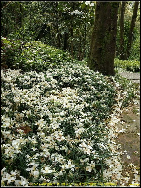 08福州 鼓山勇者登山道健走.jpg