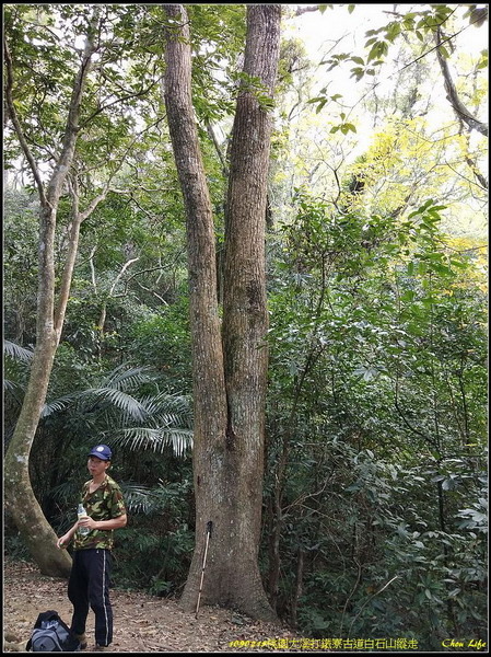 24大溪打鐵寮古道白石山.jpg