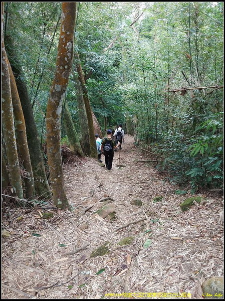 52大溪打鐵寮古道白石山.jpg