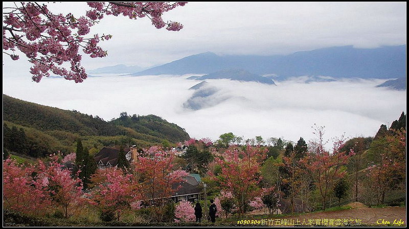 01山上人家賞櫻賞雲海.jpg