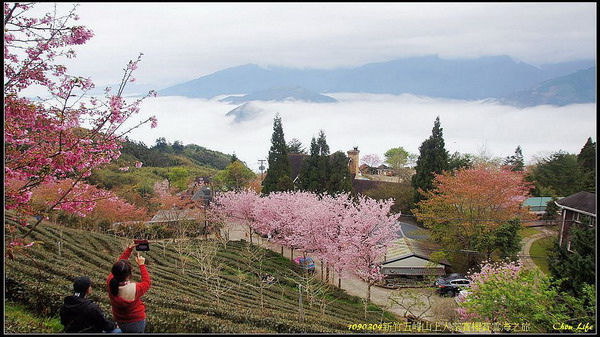 50山上人家賞櫻賞雲海.jpg