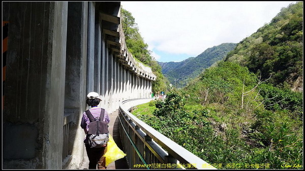 B35白楊步道.jpg