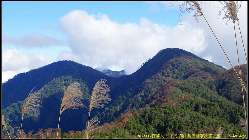 B01太平山之旅.jpg