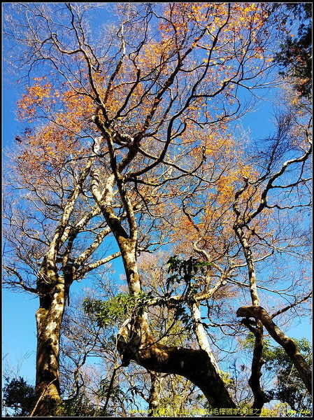 B34太平山之旅.jpg